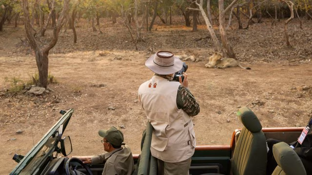 Expansion Plans for Cheetahs and Other Wildlife Conservation Initiatives in India wildlife