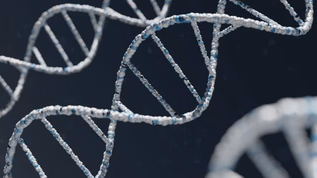 Scientists Create Healthy Mice from Two Male Parents DNA
