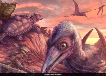 Pterosaur